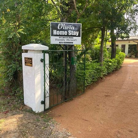 Olivia Homestay Holambra Exterior foto