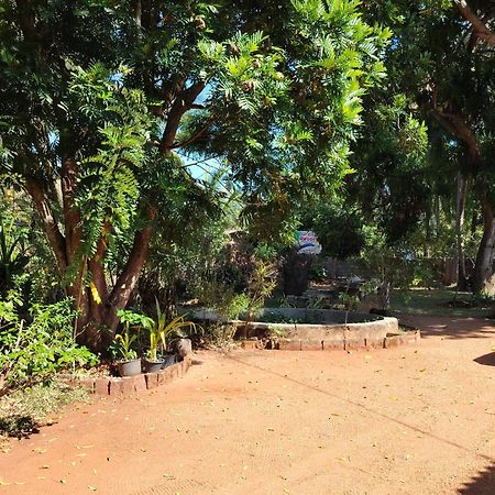 Olivia Homestay Holambra Exterior foto