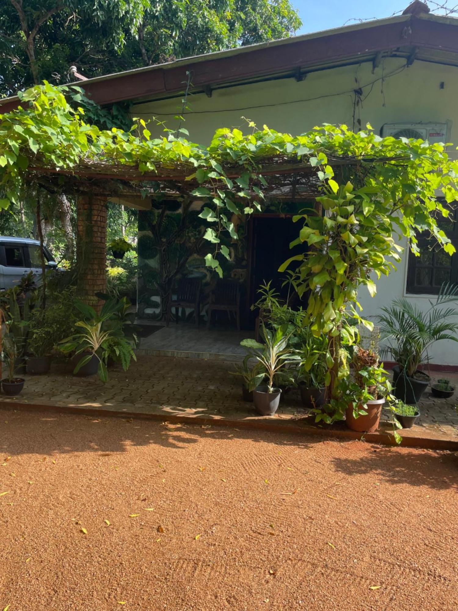 Olivia Homestay Holambra Exterior foto