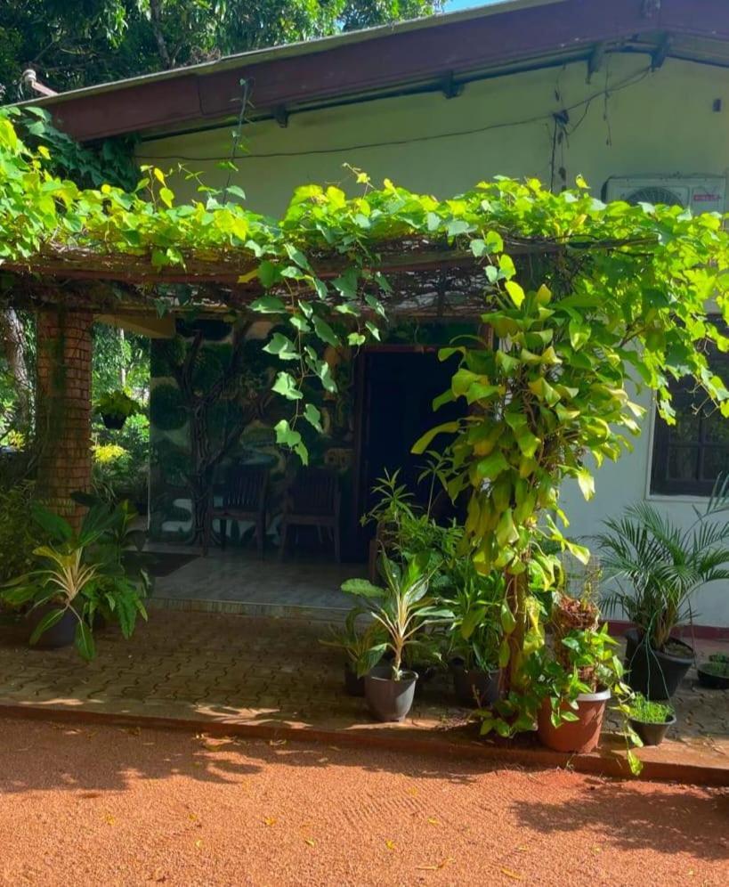 Olivia Homestay Holambra Exterior foto